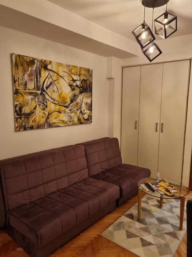 Apartman Veselinovic Free Parking Vranje Esterno foto